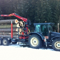 [3]  Fornitore di servizi Steiner Holz